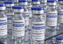 Testes clínicos fase 1 da polilaminina começam este mês