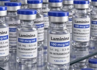 Testes clínicos fase 1 da polilaminina começam este mês