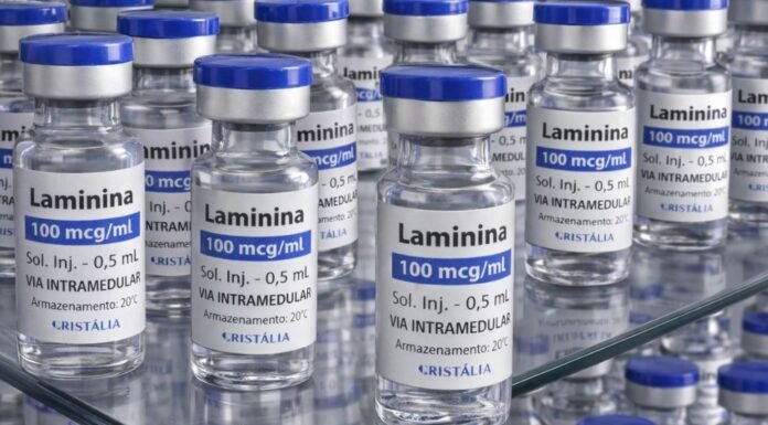 Testes clínicos fase 1 da polilaminina começam este mês