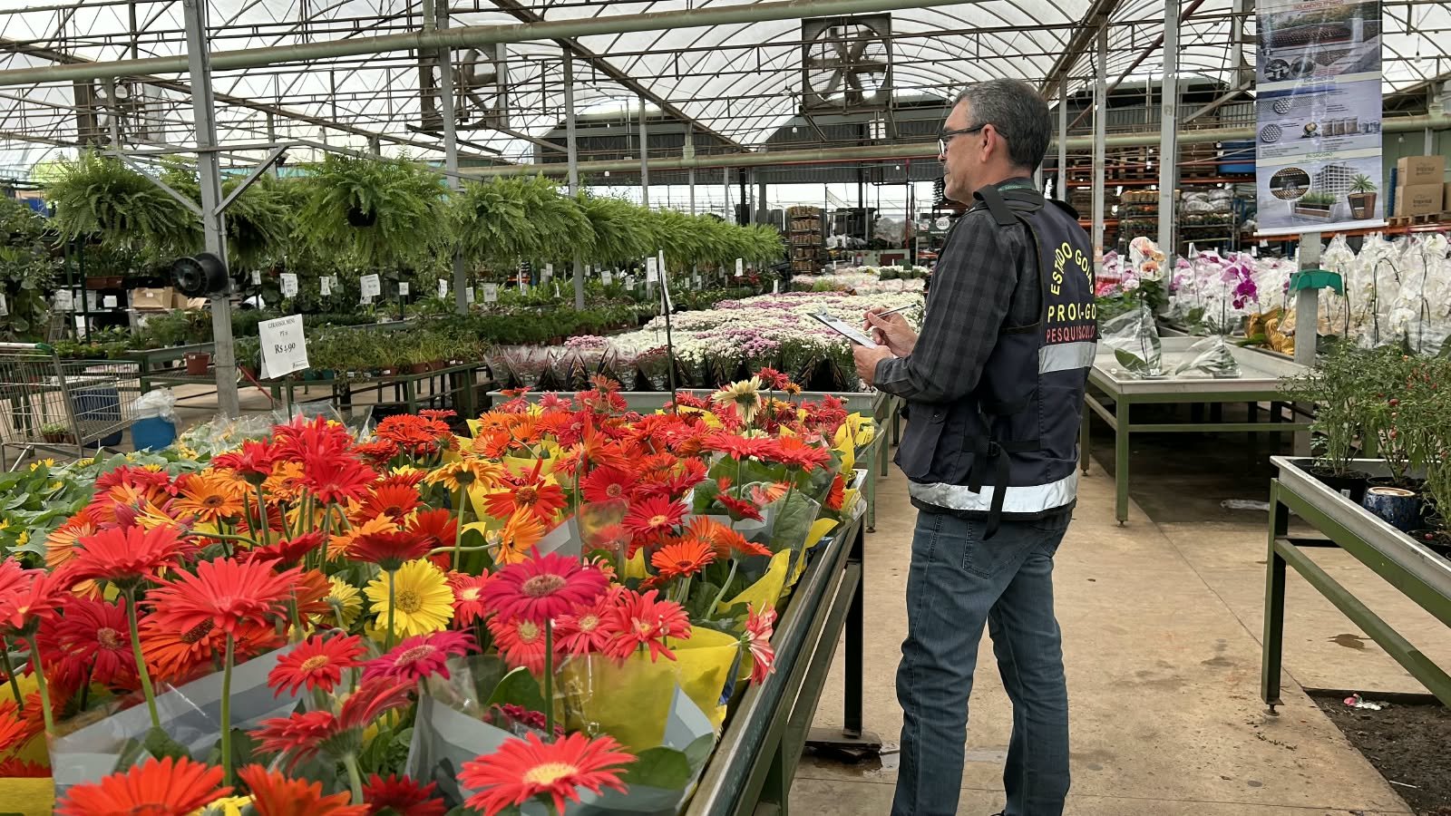 preço das flores varia até 605% em Goiás – Portal Goiás