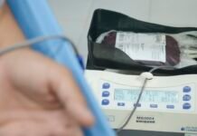 Cremerj promove campanha de doação de sangue em parceria com Hemorio