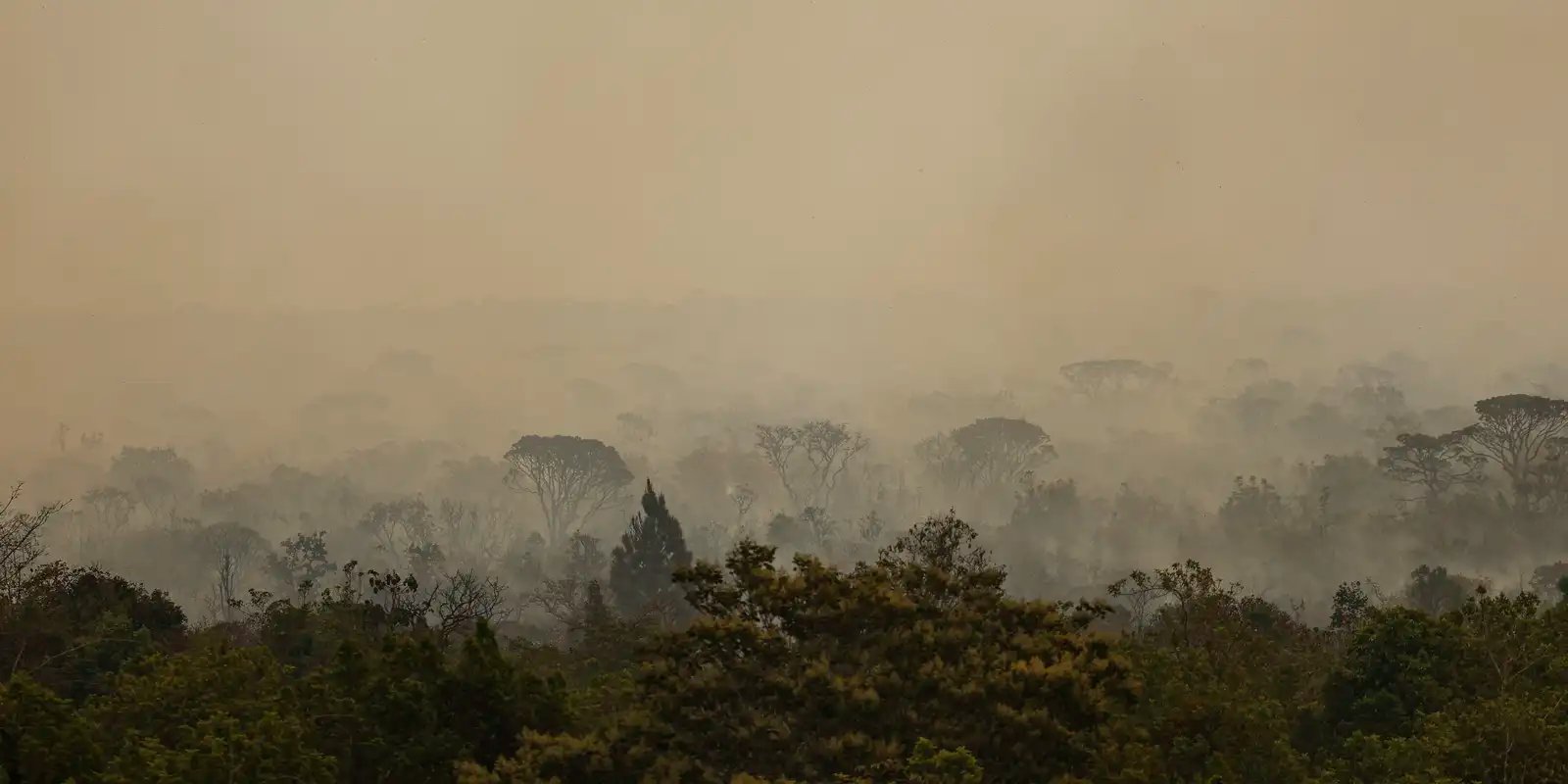 Força Nacional do SUS apoia atendimentos no Amazonas após incêndios